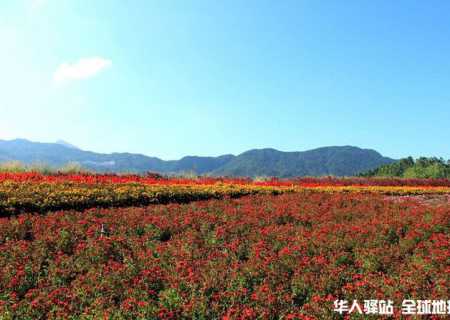 厦门旅游包车：十里蓝山包车一日游