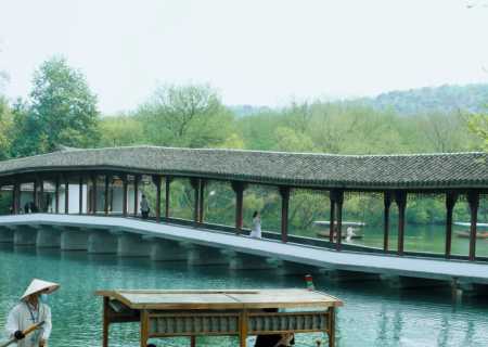 春游杭州旅游团，赏花游西湖，码住这两条路线