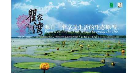 红色洪湖赏荷经典二日游，湖北红色之旅旅游团