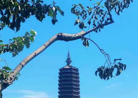 通州包车亲子游