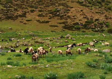 甘南旅游包车，甘南包车旅游价格