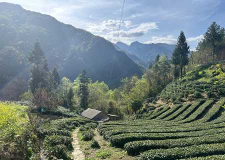 神农架研学，武汉到神农架研学亲子游