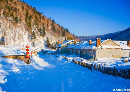哈尔滨雪乡包车价格，雪乡旅游包车，雪乡租车，雪乡拼车